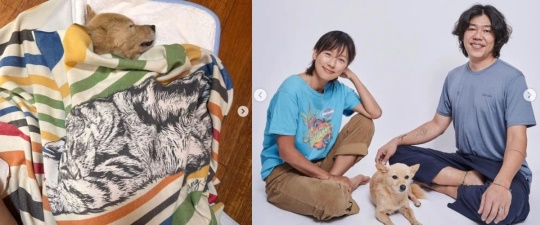 안성평강공주보호소 채널