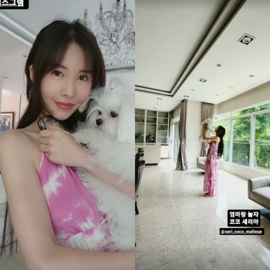 신주아 채널