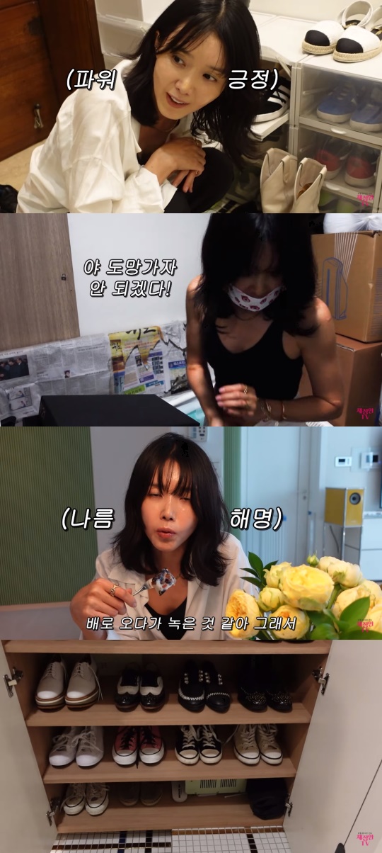 채정안 유튜브 캡처