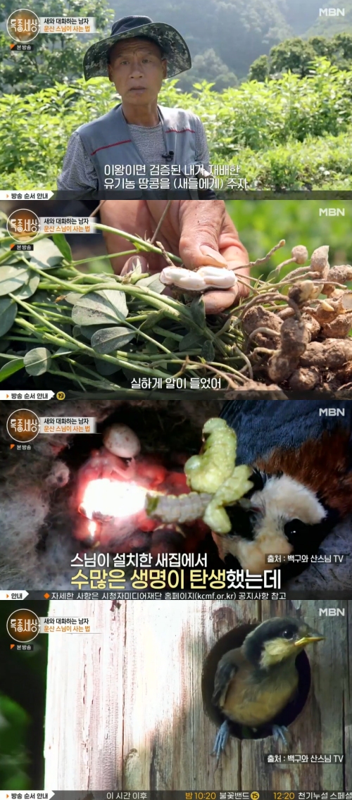 MBN '특종세상' 방송화면 캡처