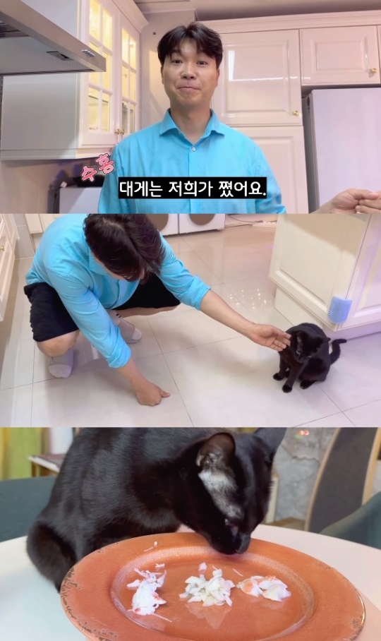 '검은고양이 다홍' 유튜브 캡처