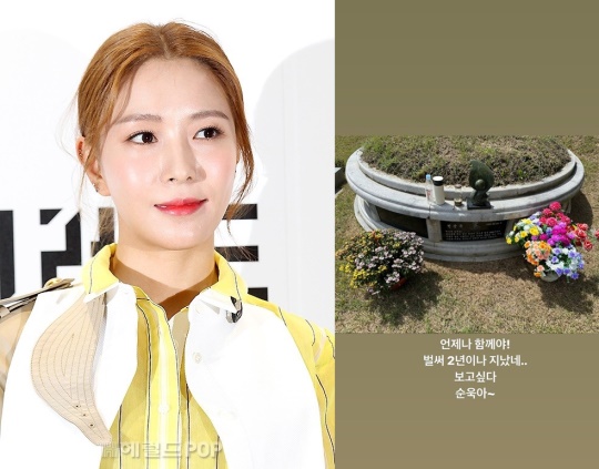보아/사진=헤럴드POP DB, 보아 SNS