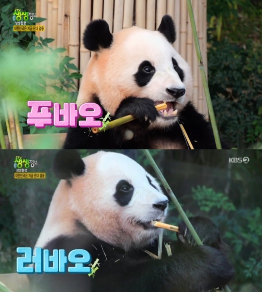 '생생정보' 방송화면 캡처