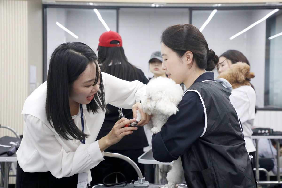 [영남이공대 제공]