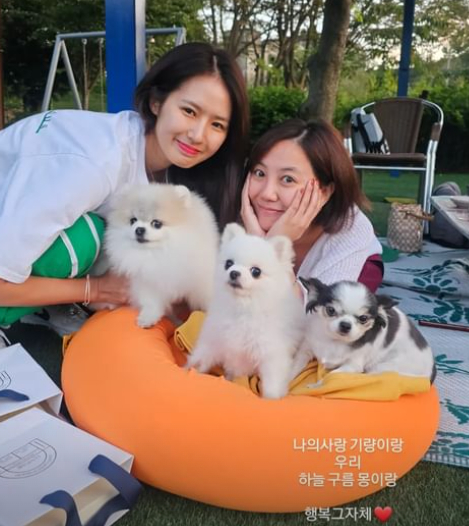 고은아 채널