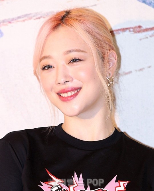 故 설리/사진=헤럴드POP DB