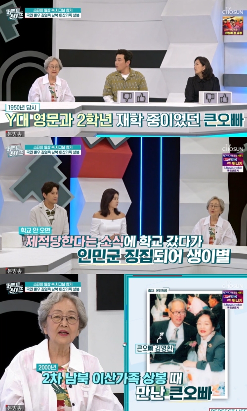 TV조선 '퍼펙트 라이프' 방송화면 캡처