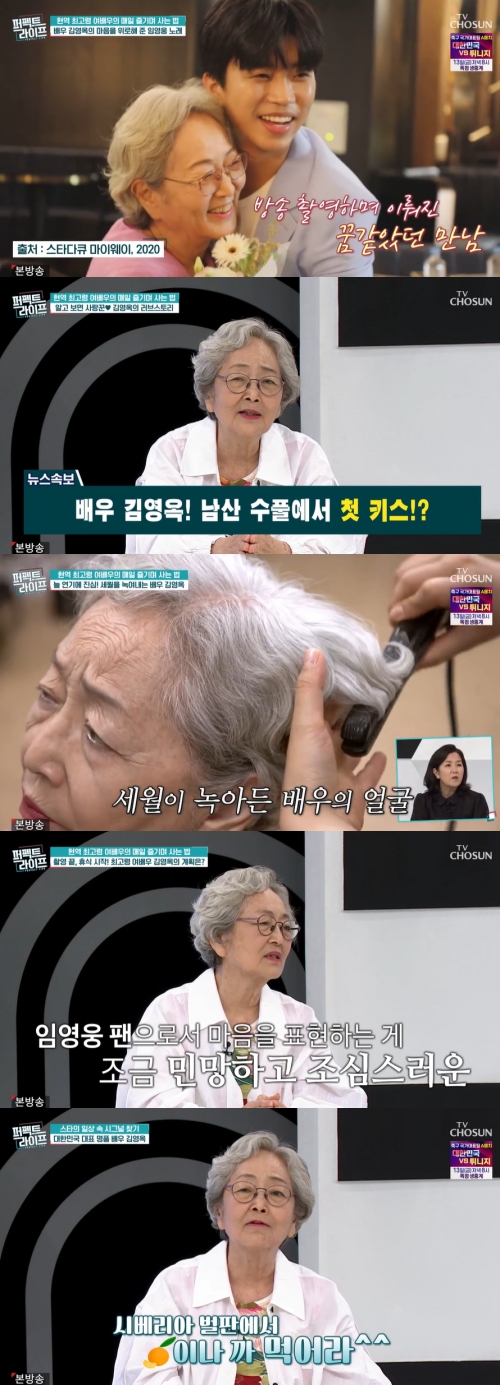 TV조선 '퍼펙트 라이프' 방송화면 캡처