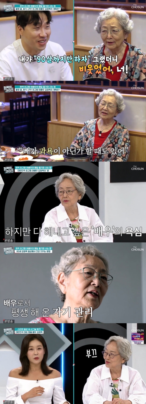 TV조선 '퍼펙트 라이프' 방송화면 캡처