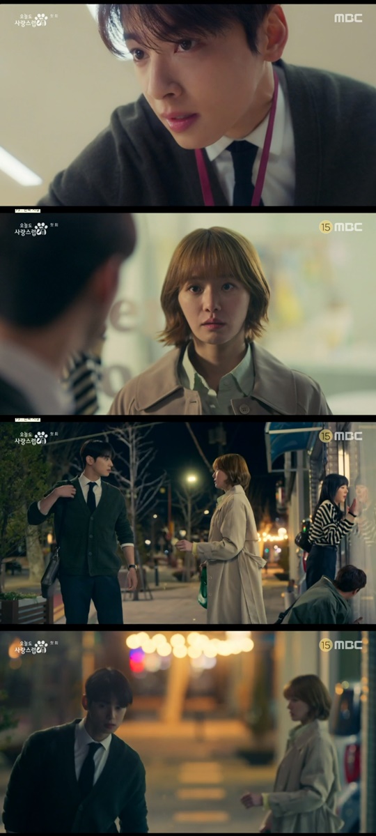 MBC '오늘도 사랑스럽개' 캡처