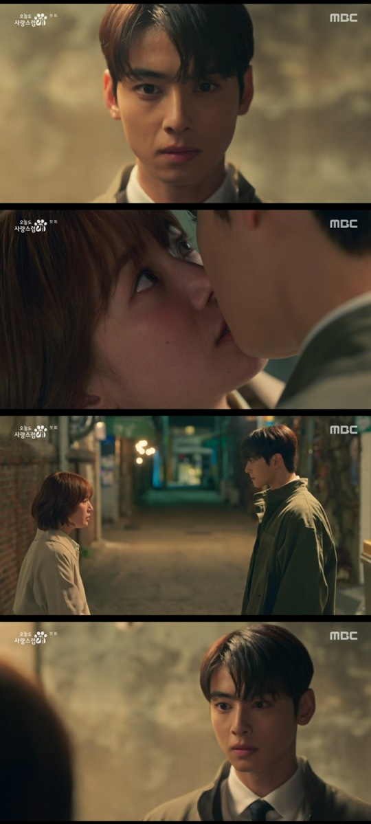 MBC '오늘도 사랑스럽개' 캡처