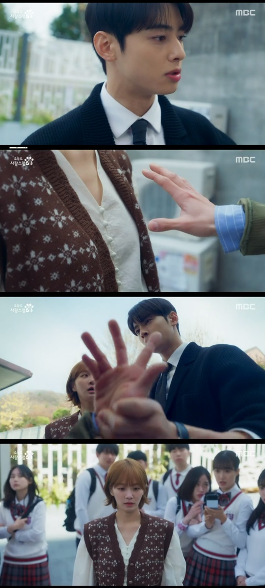 MBC '오늘도 사랑스럽개' 캡처