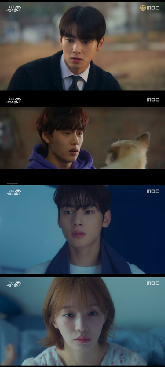MBC '오늘도 사랑스럽개' 캡처