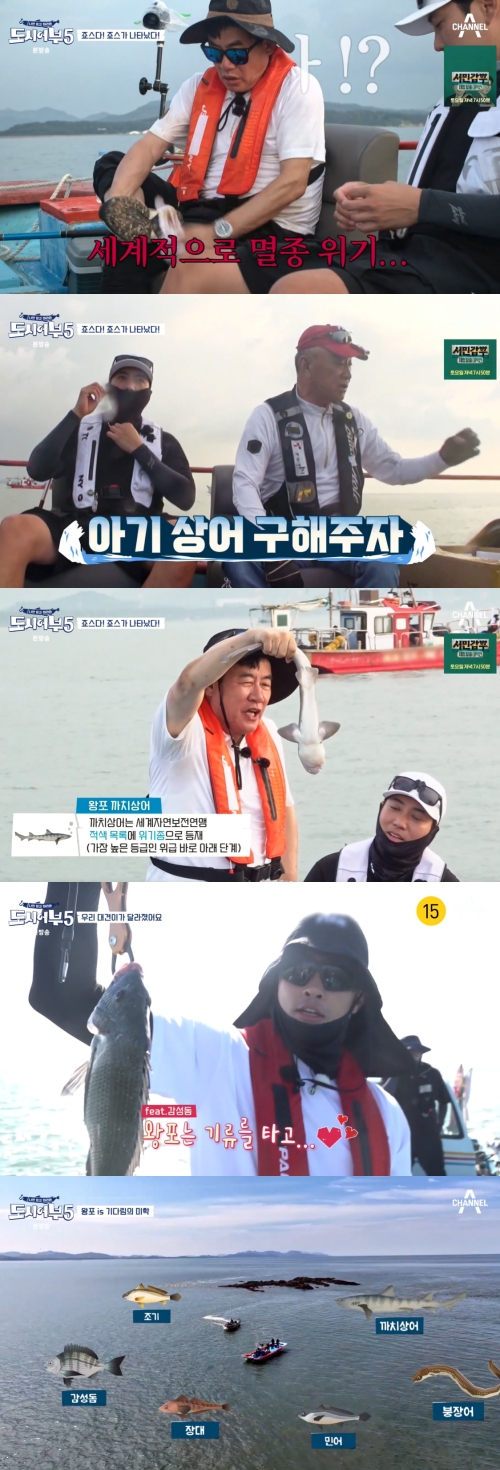 채널A ‘나만 믿고 따라와 도시어부5' 방송화면 캡처