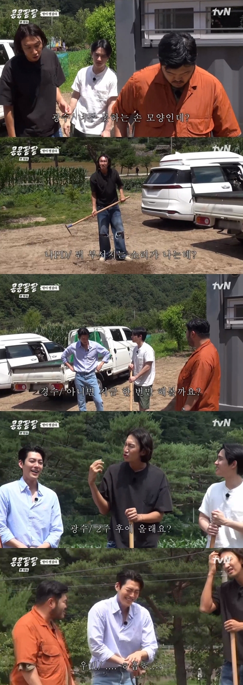 tvN '콩 심은 데 콩 나고 팥 심은 데 팥 난다' 캡쳐