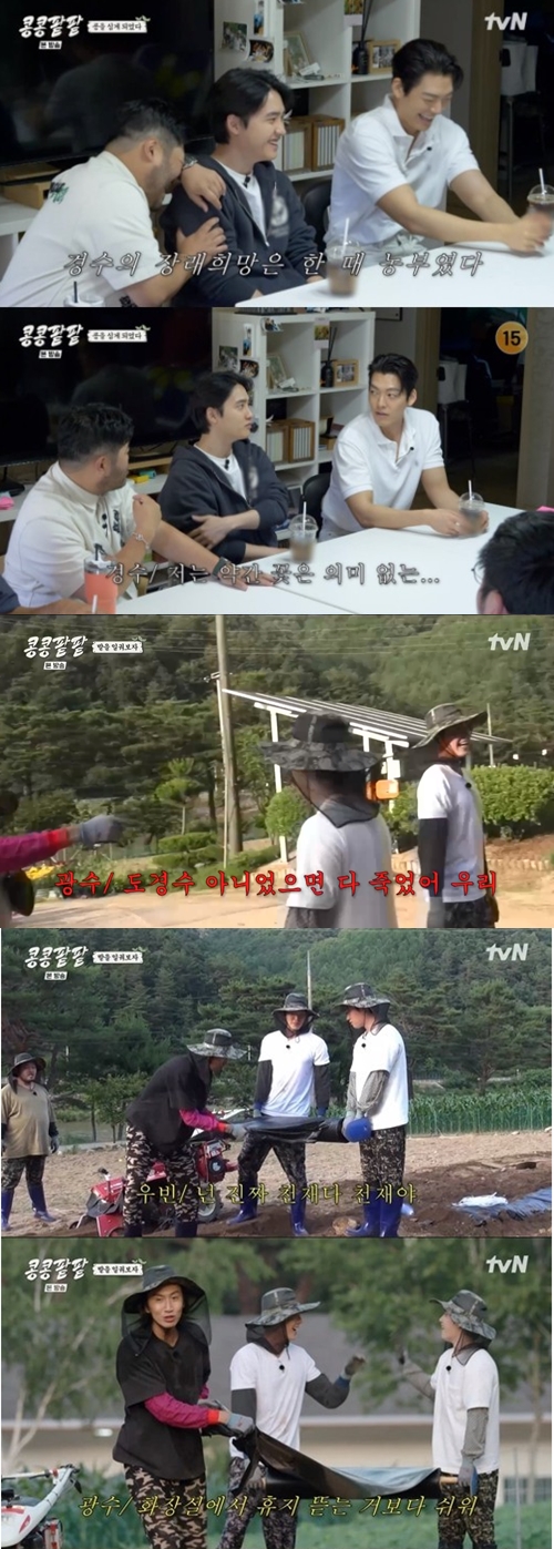 tvN '콩 심은 데 콩 나고 팥 심은 데 팥 난다' 캡쳐