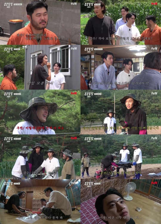 사진 출처: tvN '콩 심은 데 콩 나고 팥 심은 데 팥 난다'  캡처