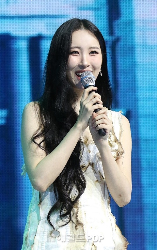 선미/사진=헤럴드POP DB