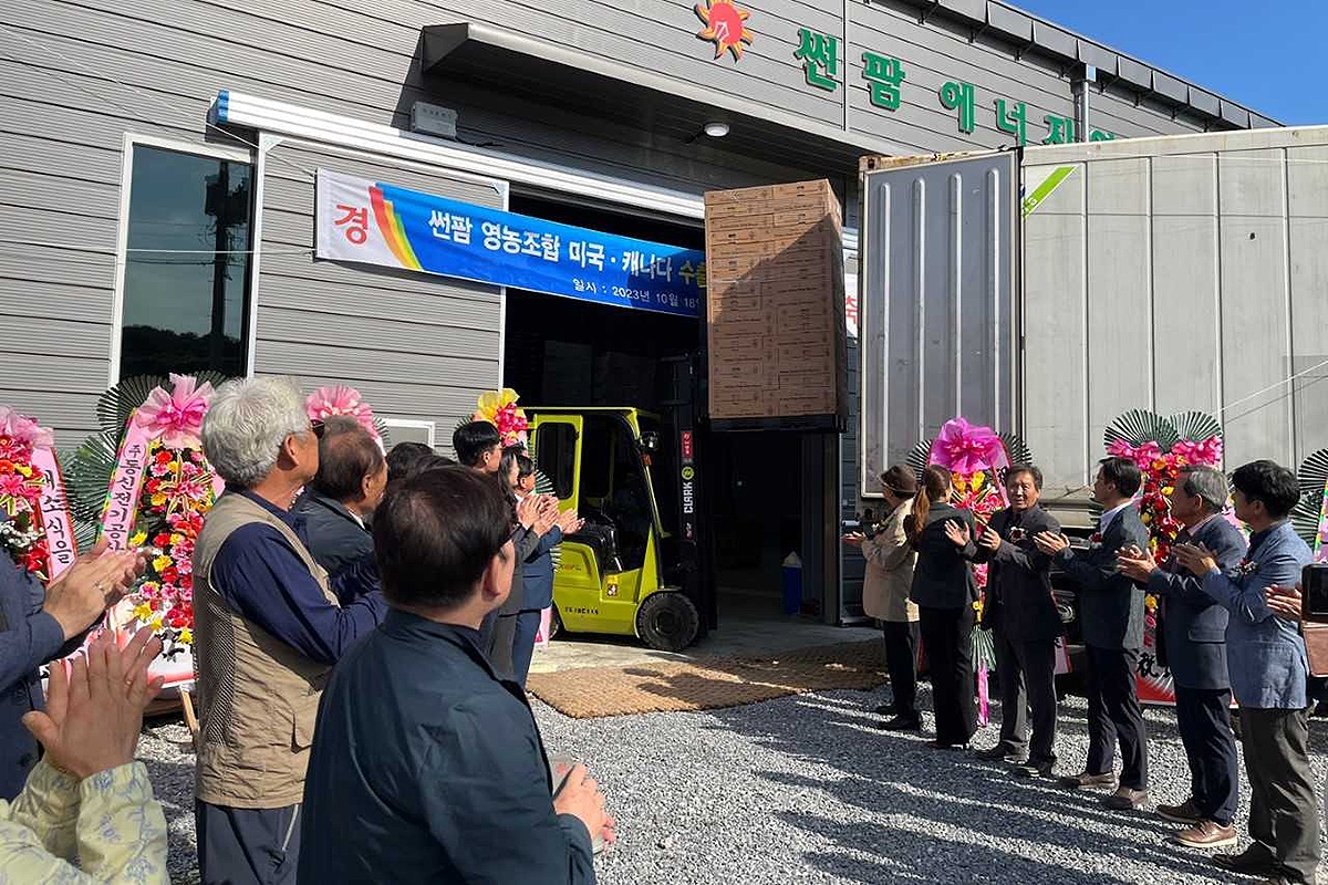 영주시 썬팜에너지영농조합법인 농산물 선별장에서 1샤인머스켓 미국·캐나다 수출 선적식이 열리고 있다. (영주시 제공)