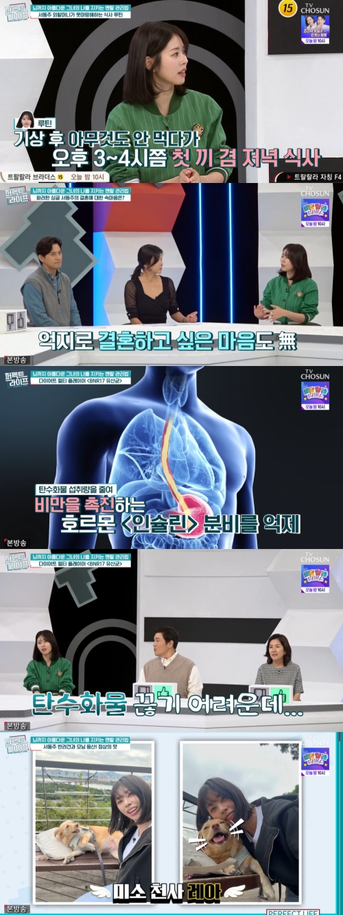 TV조선 '퍼펙트 라이프' 방송화면 캡처