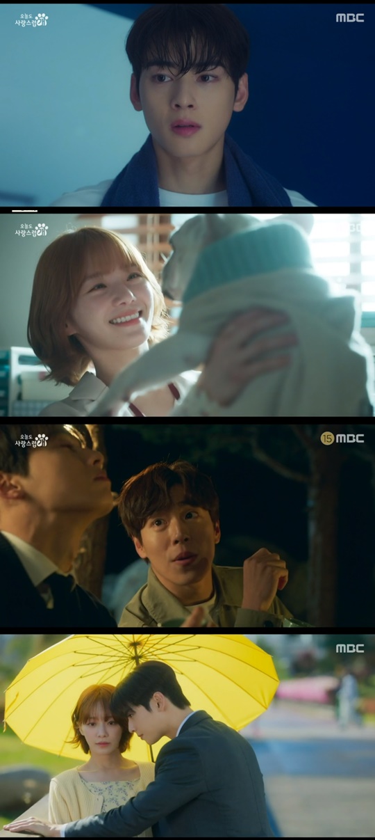 MBC '오늘도 사랑스럽개' 캡처