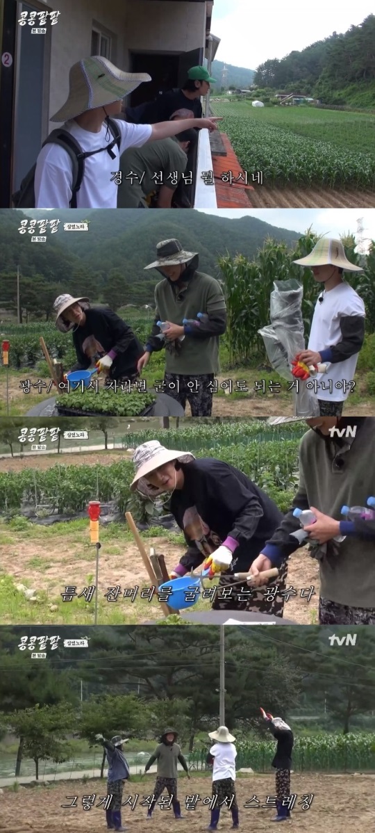 tvN '콩콩팥팥' 방송캡쳐