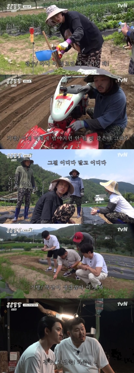 tvN '콩콩팥팥' 방송캡쳐