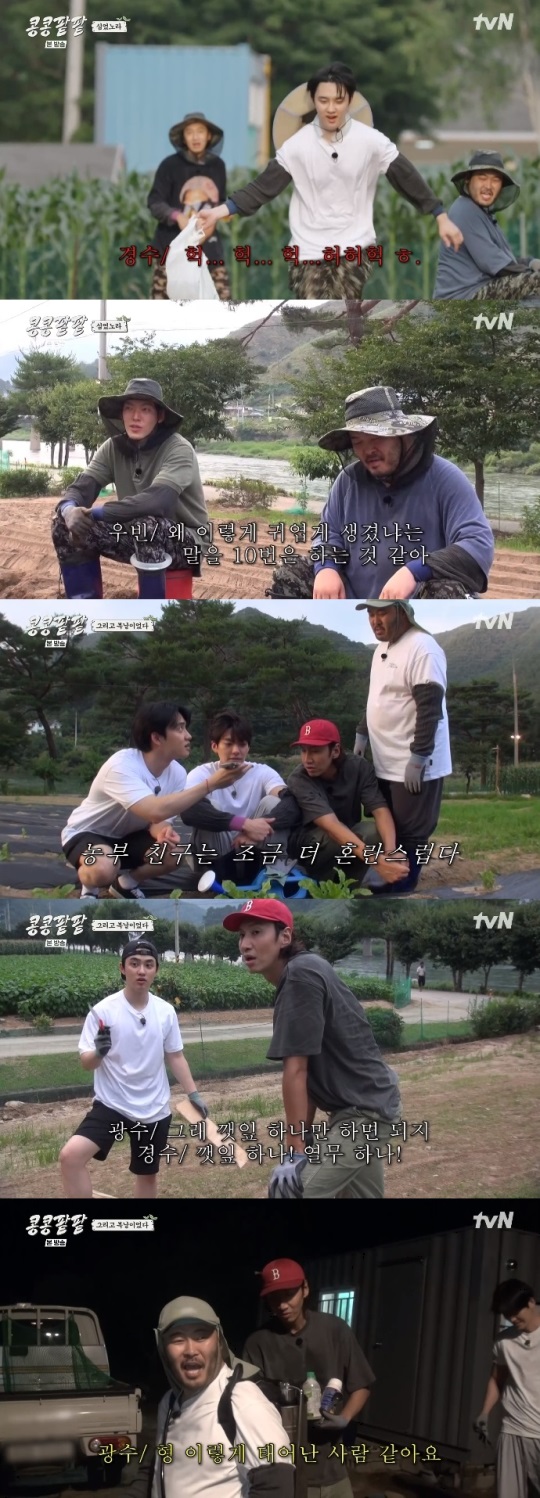 tvN '콩콩팥팥' 방송캡쳐