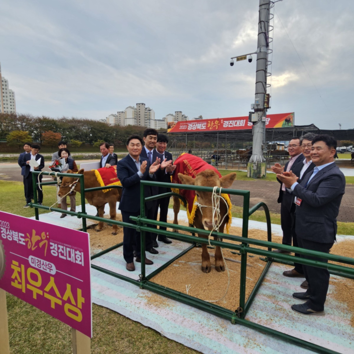 [청도군 제공]
