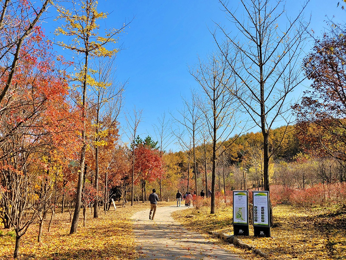 백두대간 수목원의 가을 풍경(봉화군 제공)