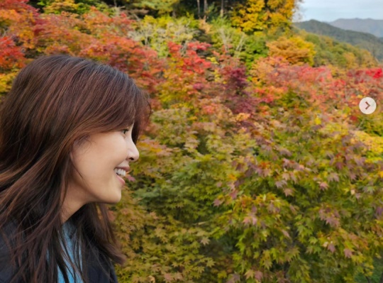 차인표 채널