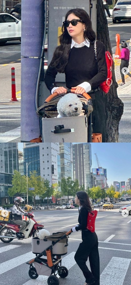 기은세 채널