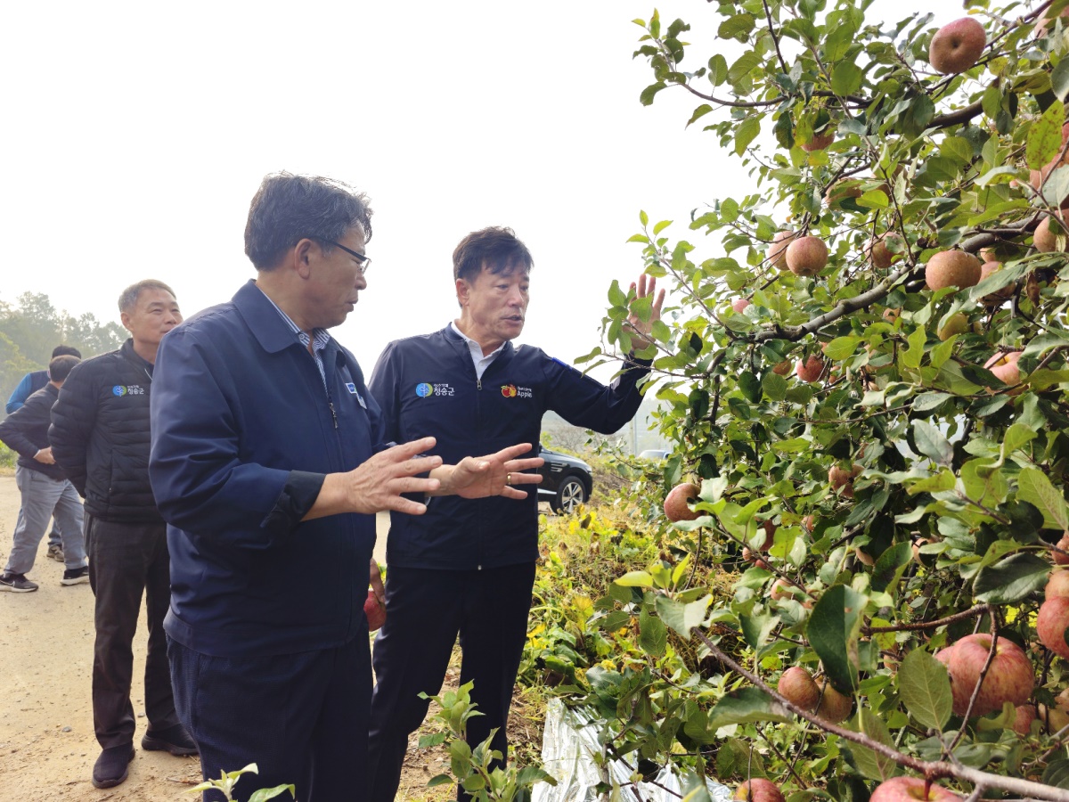[청송군 제공]