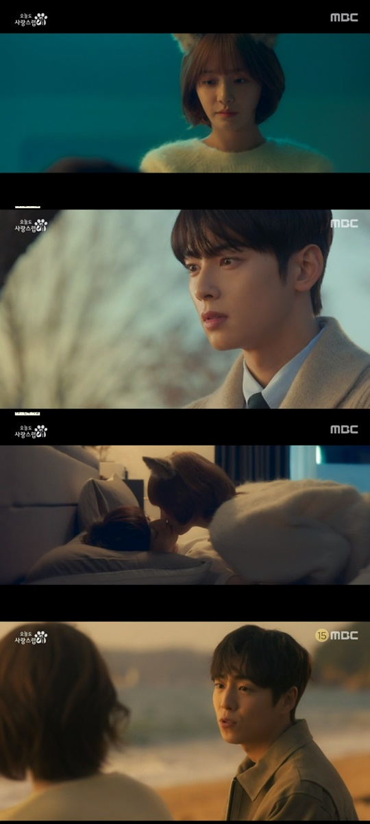 MBC '오늘도 사랑스럽개' 캡처
