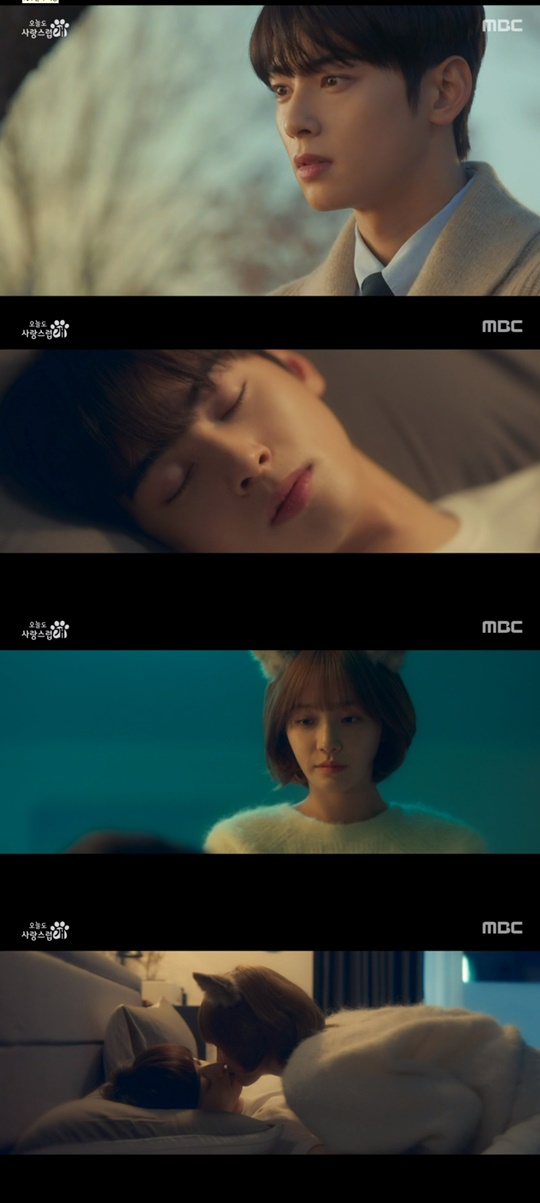 MBC '오늘도 사랑스럽개' 캡처