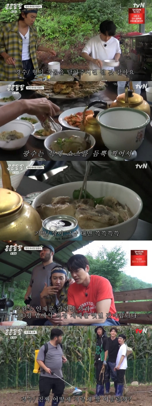tvN '콩콩팥팥' 방송화면 캡처