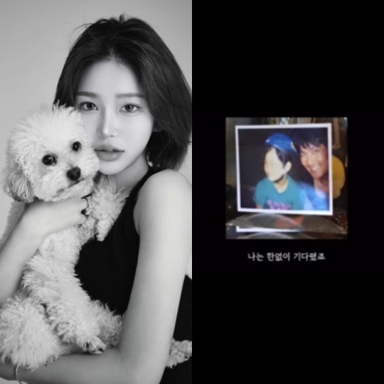 최준희 채널