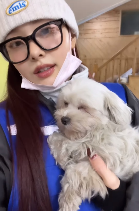 프리지아 채널
