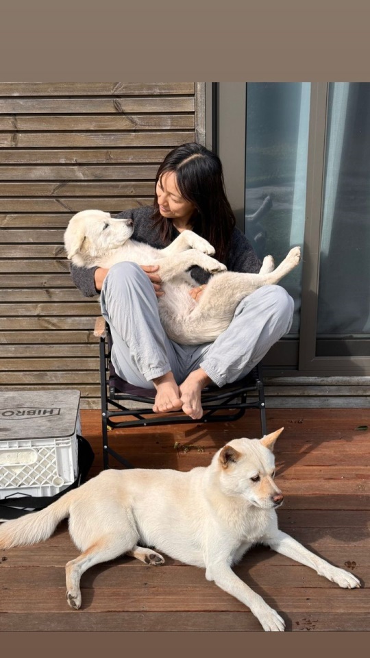이효리 채널