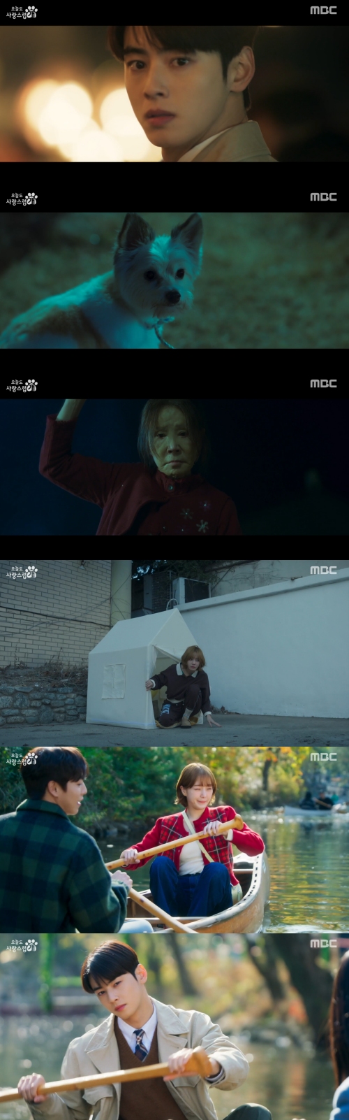 MBC '오늘도 사랑스럽개' 방송화면 캡처