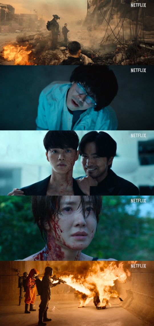 사진제공-넷플릭스