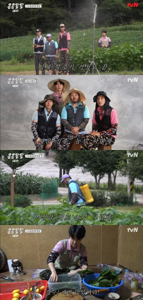 tvN ‘콩 심은 데 콩 나고 팥 심은 데 팥 난다(콩콩팥팥)’ 방송화면 캡처