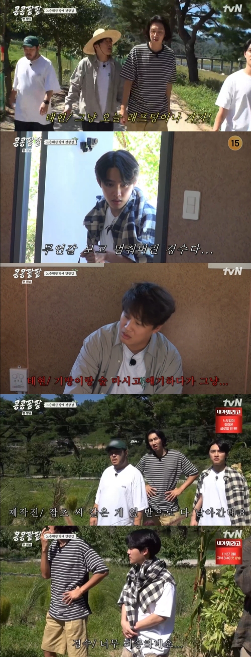 tvN ‘콩 심은 데 콩 나고 팥 심은 데 팥 난다(콩콩팥팥)’ 방송화면 캡처