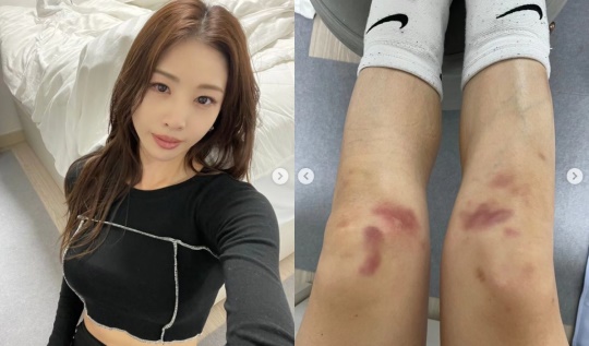신수지 채널