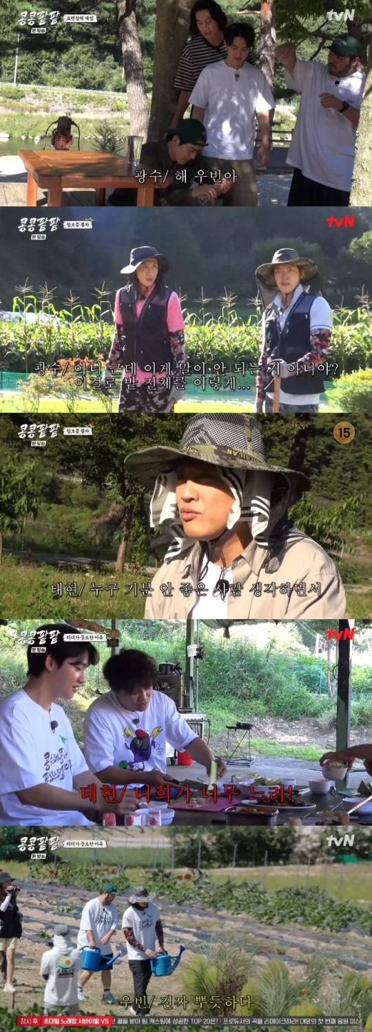 tvN '콩콩팥팥' 방송캡쳐
