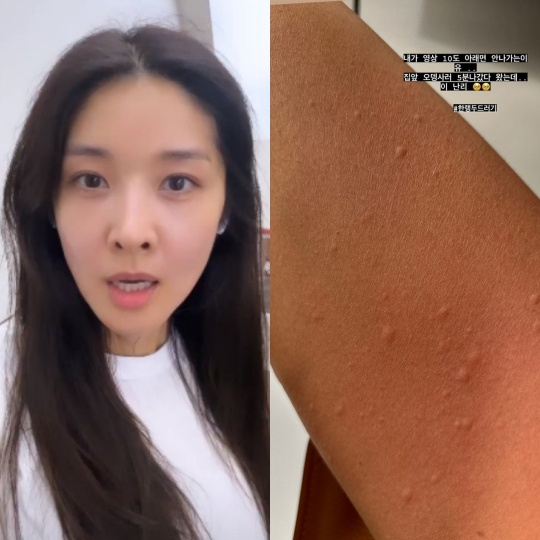 김빈우 채널