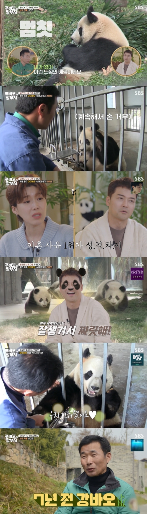 SBS ‘푸바오와 할부지’ 방송화면 캡처