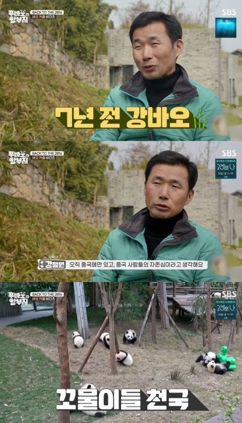 SBS ‘푸바오와 할부지’ 방송화면 캡처