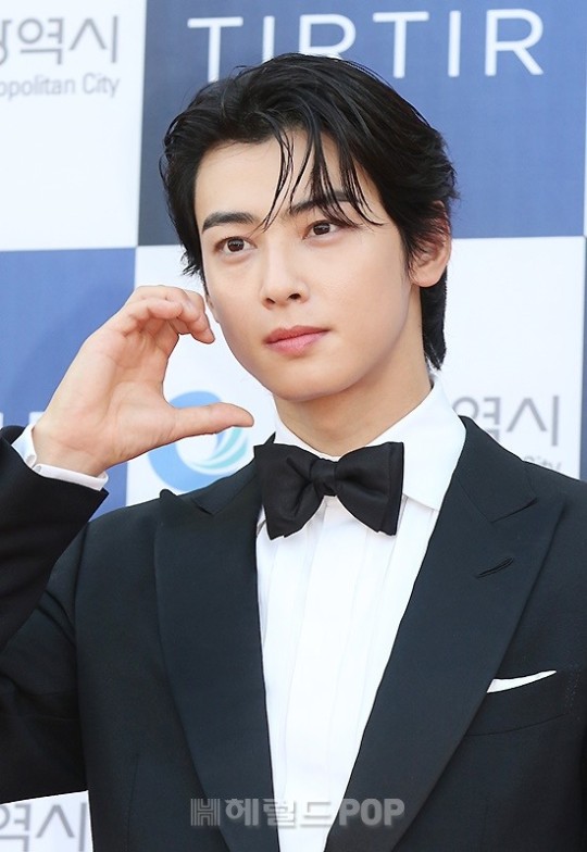 차은우/사진=헤럴드POP DB