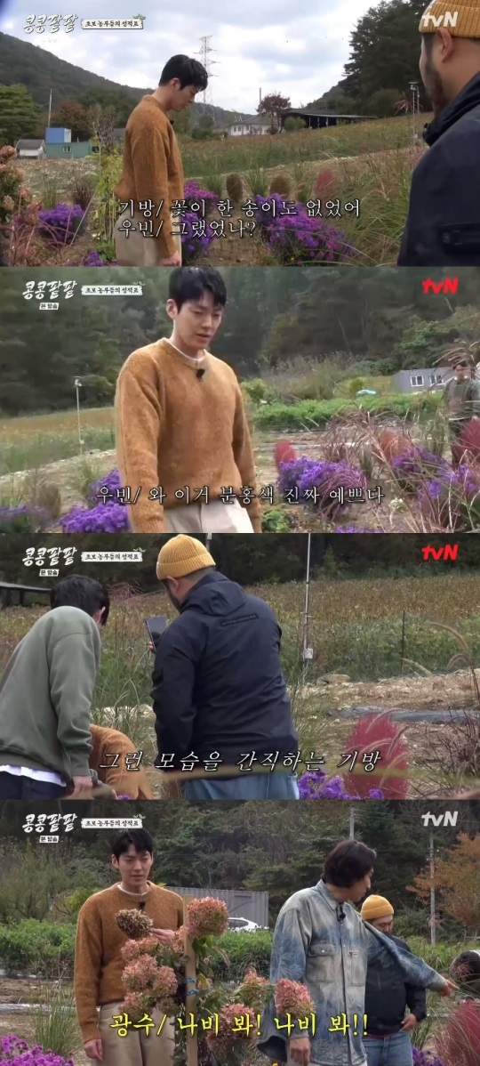 tvN '콩콩팥팥' 방송캡쳐